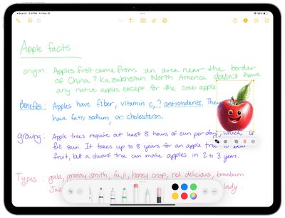 image wand resizing